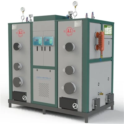 Biomass Boiler 3 Ton