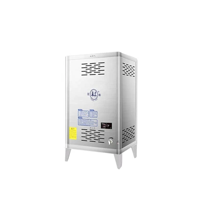 Pressurized Steam Generator